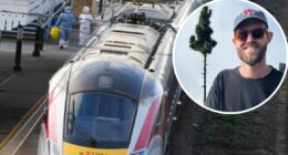 'He's got a knife': Australian man tells of train stabbing rampage