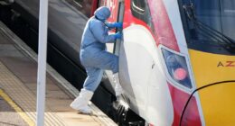 'Heroic' staffer fighting for his life after saving people in UK train stabbing