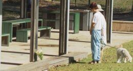 Two people leaving flowers at a park where a teen was allegedly fatally stabbed.