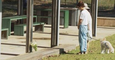 Two people leaving flowers at a park where a teen was allegedly fatally stabbed.