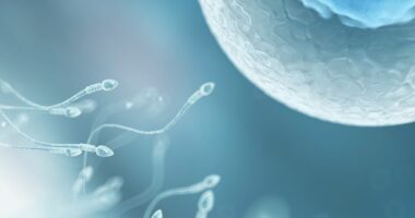 'I'm a fertility doctor and here are some harsh truths I want people to know'