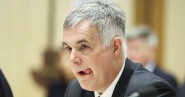 Stephen Rue, CEO, Optus, during the Triple Zero service outage hearing with the Senate Environment and Communications References Committee, at Parliament House in Canberra on Monday 3 November 2025.