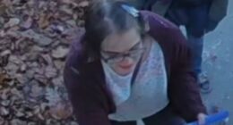 'Slender man' stabber back in custody after disappearance in US