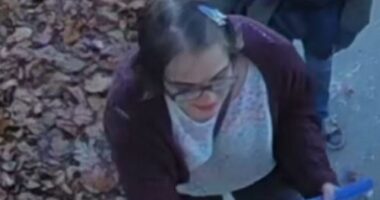 'Slender man' stabber back in custody after disappearance in US