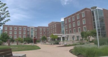 'The main goal here is equity and fairness': U of I debuts new housing lottery