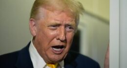 President Donald Trump speaks to reporters on Air Force One on his way to his Mar-a-Lago estate in Palm Beach, Fla., Friday, Nov. 14, 2025. (AP Photo/Manuel Balce Ceneta)