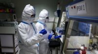 'Worrying' virus resistant to body's defense system... as experts warn of looming 'pandemic threat'