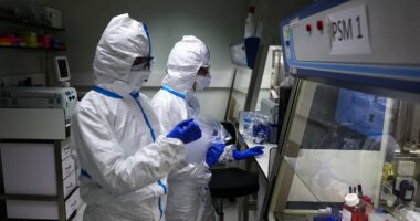 'Worrying' virus resistant to body's defense system... as experts warn of looming 'pandemic threat'