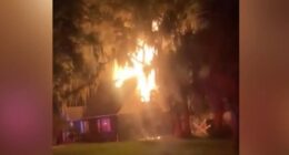 1 injured in early morning Leesburg house fire