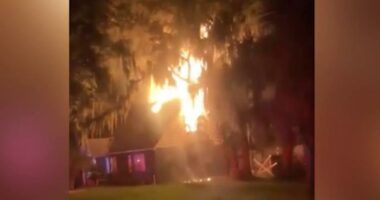 1 injured in early morning Leesburg house fire