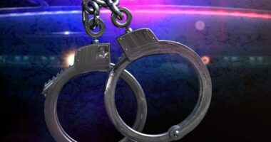 16 arrested in undercover child predator sting: Sheriff