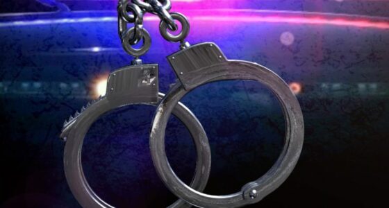 Sheriff Announces Arrest of 16 Suspects in Child Predator...