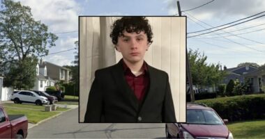 17-year-old fatally stabbed another teen at party: Police