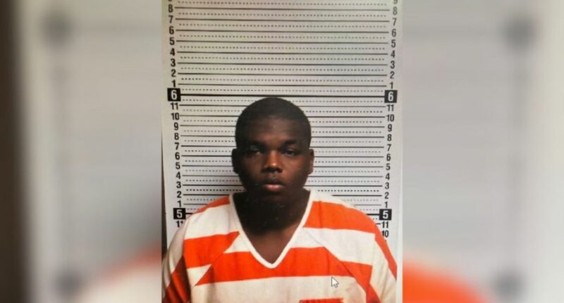 18-year-old involved in police chases in two cities arrested in Eufaula