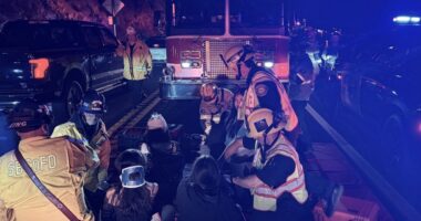 20 taken to the hospital after bus overturns on a winding road in Southern California