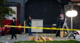 4 people killed, 10 wounded in shooting at child’s party in California