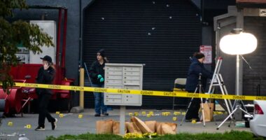 4 people killed, 10 wounded in shooting at child’s party in California