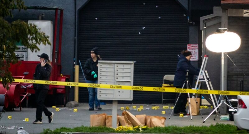 4 people killed, 10 wounded in shooting at child’s party in California