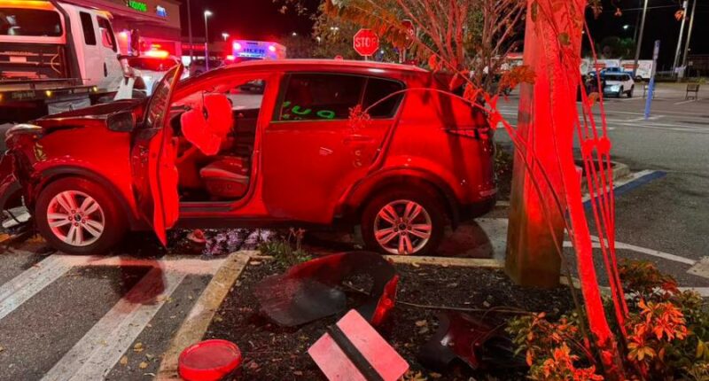 4 people taken to hospital after car crashes into Sebring Publix