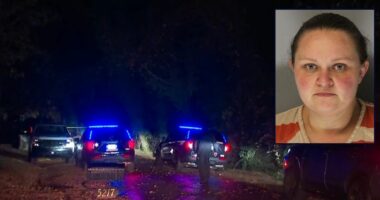 4-year-old found dead in trunk, woman charged with murder