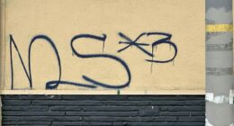 5 MS-13 gang members found guilty in string of gruesome California killings, bodies dumped off cliffs