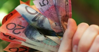 Someone holding a handful of Australian cash.