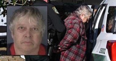 64-year-old Middleburg man arrested for possession of child sexual abuse images