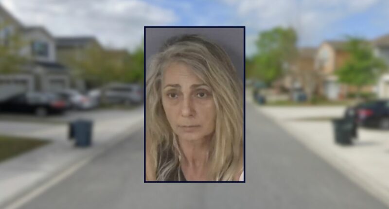 8-year-old stabs grandmother to protect her mom: Deputies