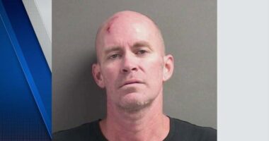 8-year-old’s 911 call leads to father’s arrest in Volusia County overdose case