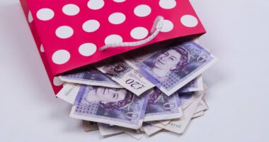 £80bn allure of dividends from UK companies can allay AI bubble fear