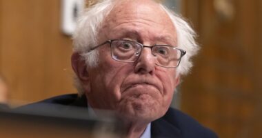 A Number of Progressive Democrats Are Coming Out Hard Against Schumer Shutdown Deal