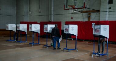 A bitter year for independent voters