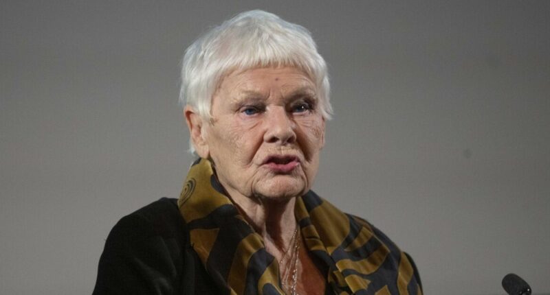 AMD explained as Judi Dench 'can't leave house alone' because of condition