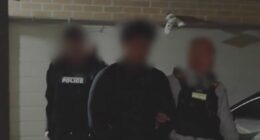 Accused synagogue arsonist released back into community on bail