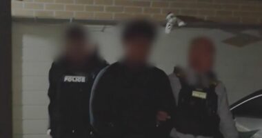 Accused synagogue arsonist released back into community on bail