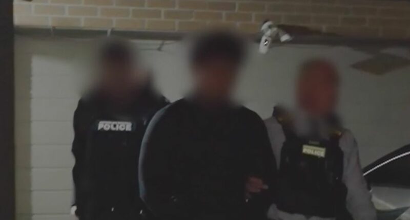 Accused synagogue arsonist released back into community on bail