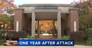 Adam Erkan pleads guilty to battery in attack on Jewish students on DePaul University Lincoln Park campus