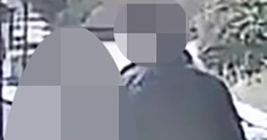 Afghan migrant admits raping 12-year-old girl but denies other charges