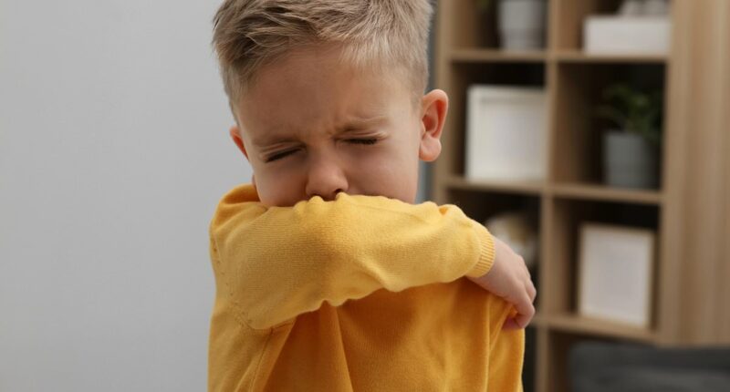 After battling measles outbreak, Southern US hit with record high cases of deadly Victorian-era disease