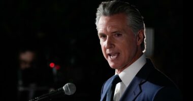 After confirming possible White House run, California's Newsom scores a win in fight for US House
