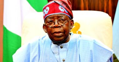 All 24 kidnapped Nigerian schoolgirls rescued after armed attack in Kebbi, president says