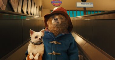 All 3 Paddington Movies, Ranked