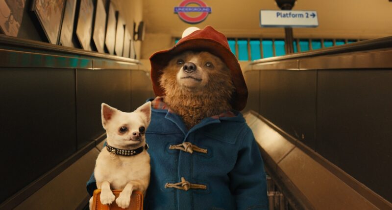 All 3 Paddington Movies, Ranked