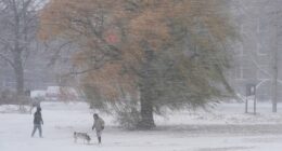 America to be hit with the 'most extreme cold on Earth' for December