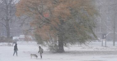 America to be hit with the 'most extreme cold on Earth' for December