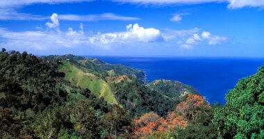 American tourist found stabbed to death in Tobago