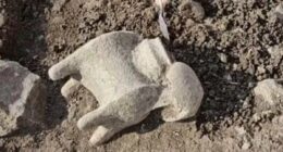 Ancient cult ruins discovered in Israel linked to Bible's 'Armageddon'