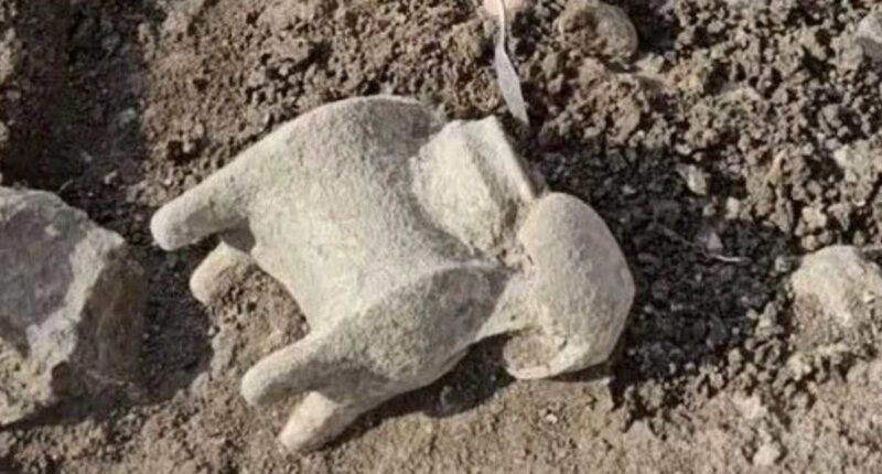 Ancient cult ruins discovered in Israel linked to Bible's 'Armageddon'