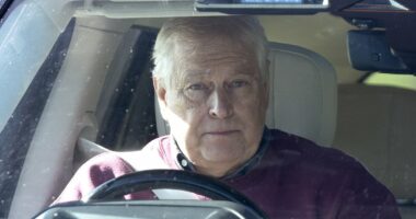 Andrew's 'hermit life' in Sandringham: Disgraced royal will keep 'lowest possible profile' in Norfolk as locals warn 'horrible man' is not welcome after his Royal Lodge eviction