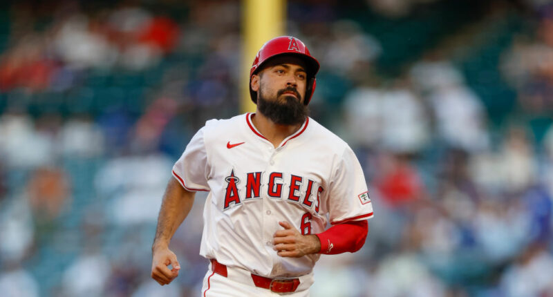 Celebrity Net Worth logo